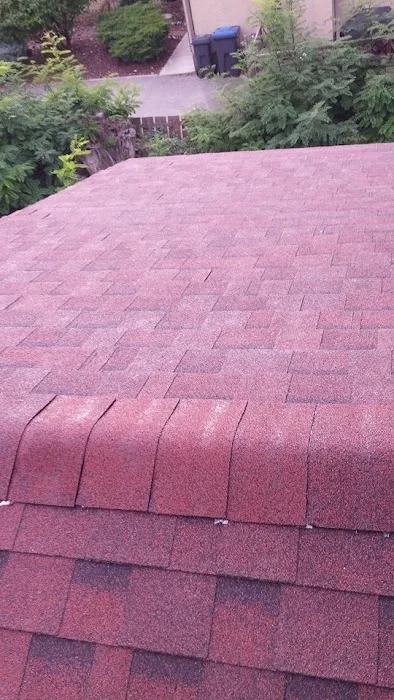 Above and Beyond Roofing Ltd Picture 6