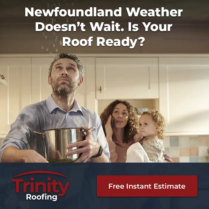 Trinity Roofing Picture 2