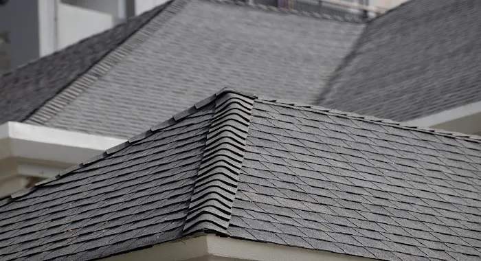 Primo Roofing Picture 4