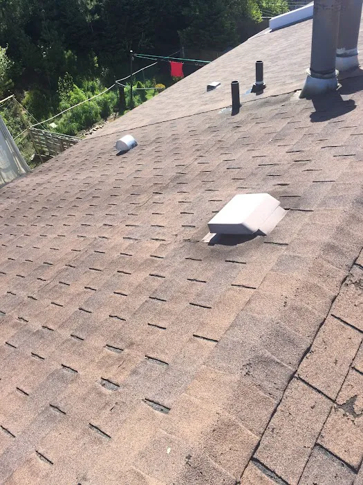 Eagle Eye Roofing Picture 10