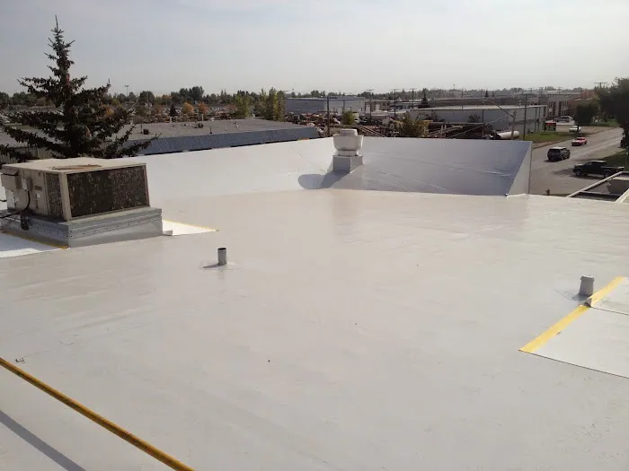 JR & Co. Roofing Contractor Picture 8
