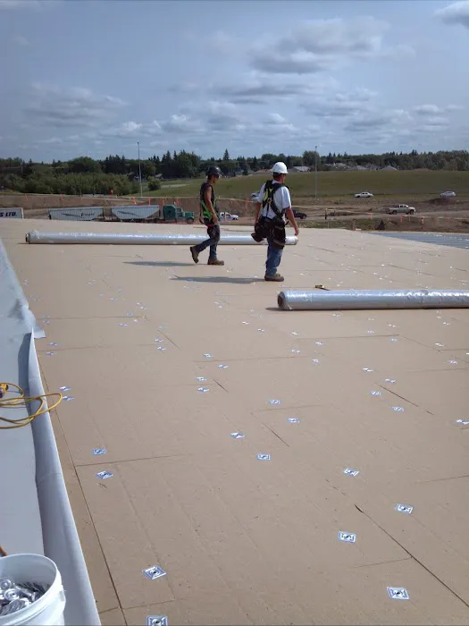 JR & Co. Roofing Contractor Picture 10