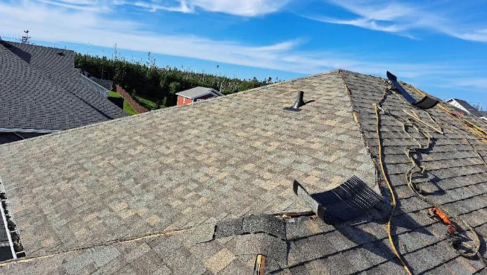 Astro Roofing Inc Picture 4