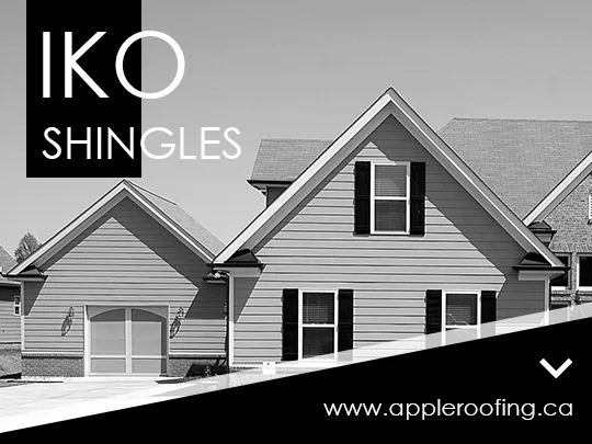 Appleroofing Ltd Picture 1