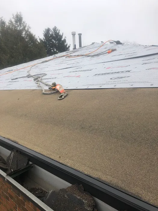 Milena's Pro Roofers Picture 9