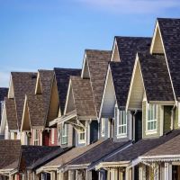 Roof-Cat Roofing ico