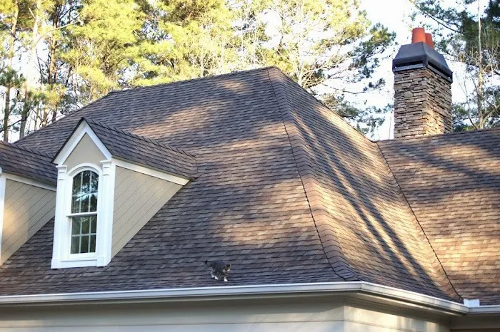 Roof-Cat Roofing Picture 6