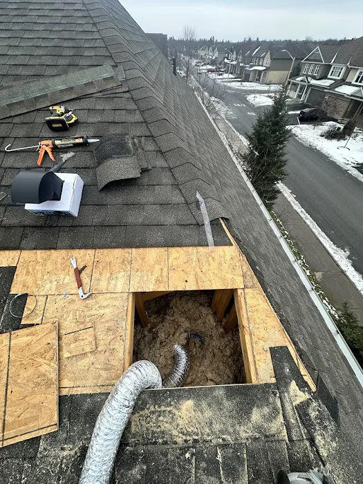 David Tulloch Roofing Picture 6