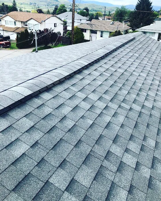 Best Quality Roofing Picture 2