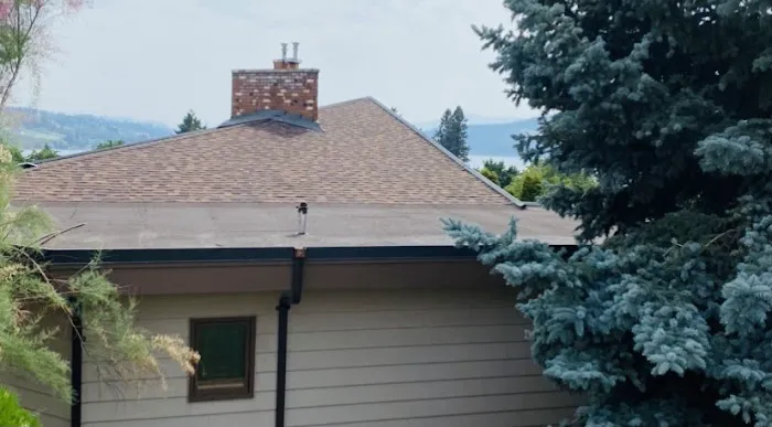 TI Roof Rescue Inc. Picture 1