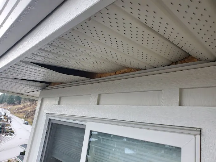 TI Roof Rescue Inc. Picture 4