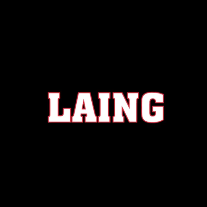 Laing Roofing Picture 2