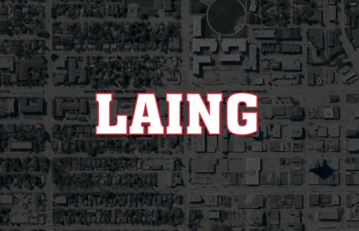 Laing Roofing Picture 1