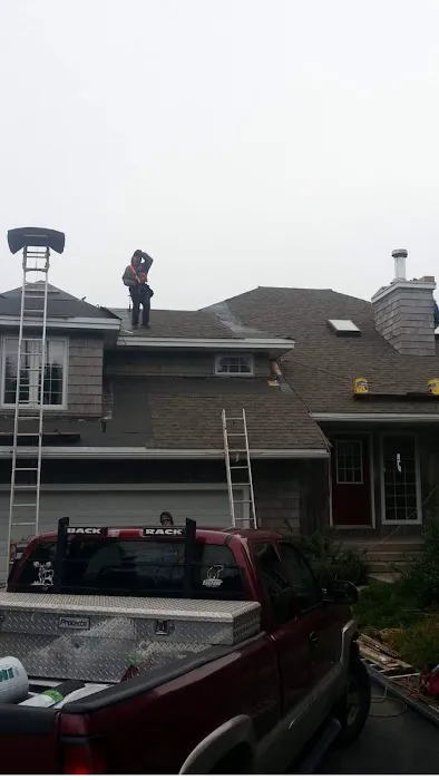 Able Roofing Ltd Picture 1