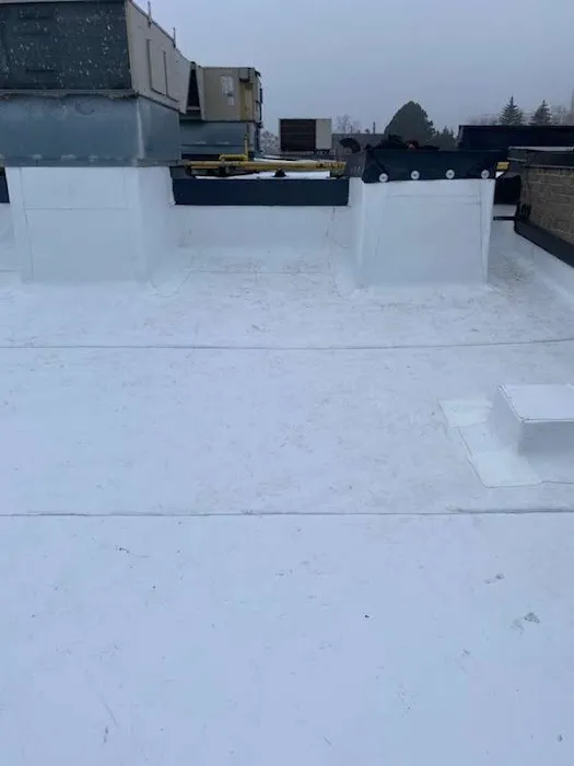 BRIC Flat Roofing Picture 5