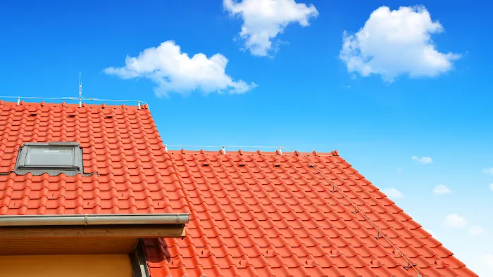 Super Roofers Picture 4