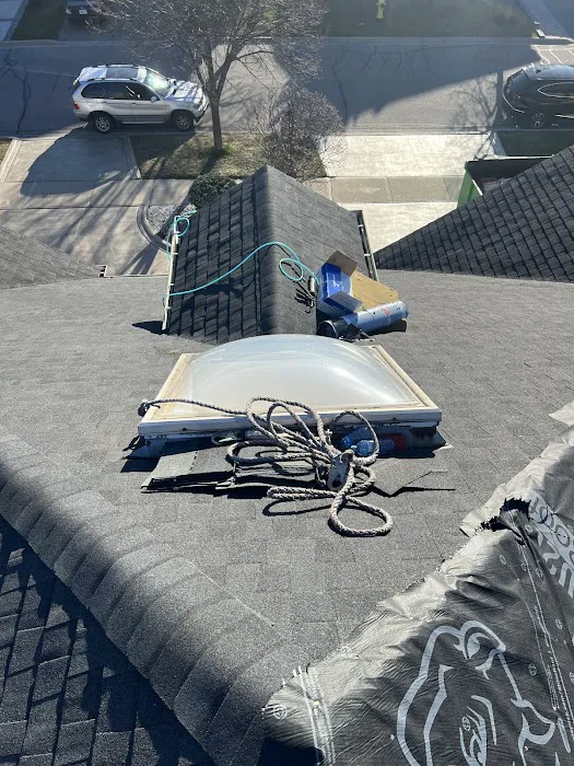 Viktor Roofing Picture 6