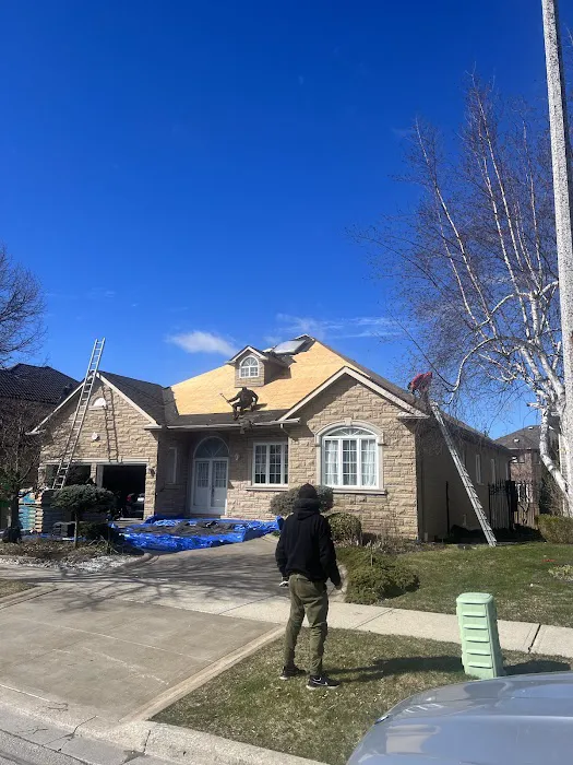 Viktor Roofing Picture 4