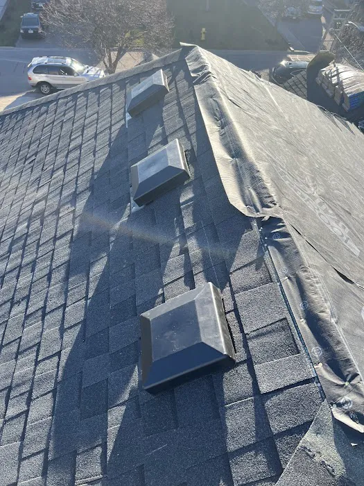 Viktor Roofing Picture 7