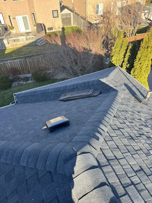 Viktor Roofing Picture 1