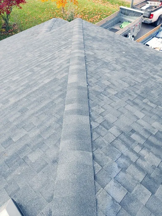 Exceptional Roofing Picture 2