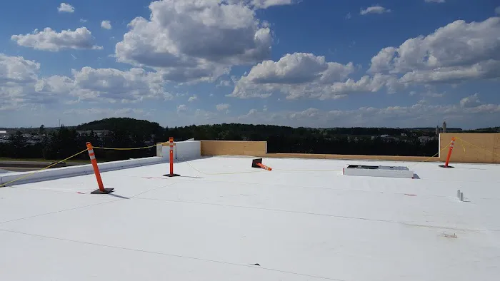 Black and White Commercial Roofing Picture 1