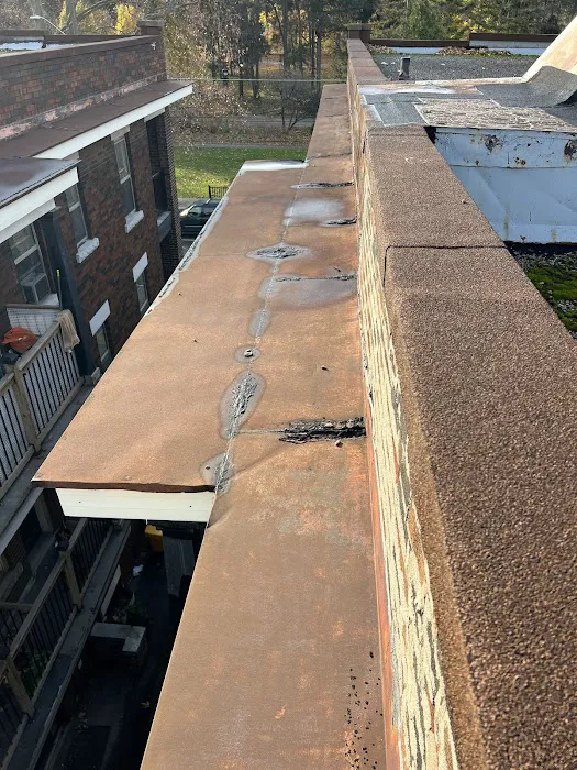 The Roof Whisperer of Kitchener - Roof Repair & Skylight Contractor Picture 10