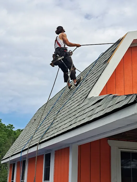 Quality Roofs | Residential & Commercial Roofing Company Picture 2