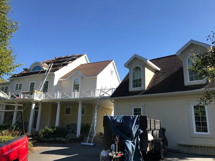 DB Roofing Picture 1