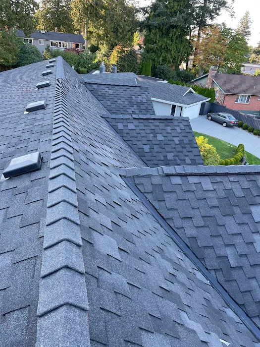 J J Roofing Services Ltd. Picture 3