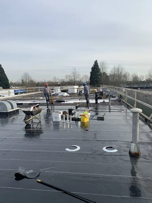 Friendly Roofing Ltd. Picture 1