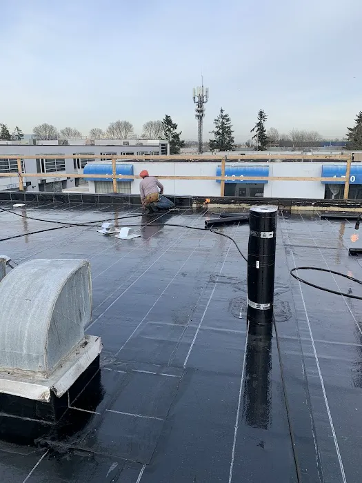 Friendly Roofing Ltd. Picture 2