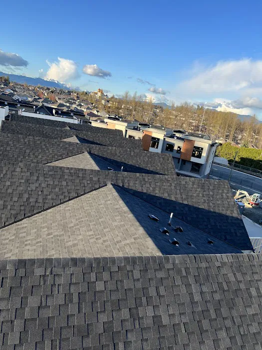 Innovation Roofing ltd Picture 9