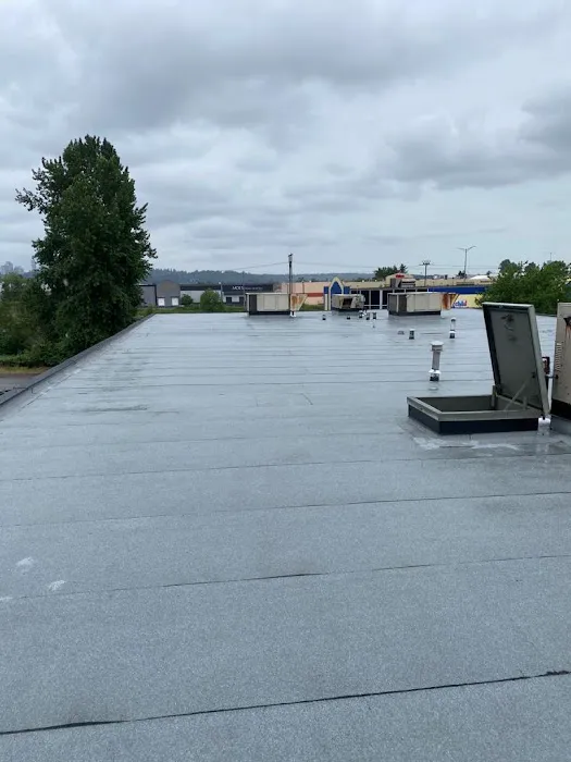 Best Quality Roofing Picture 1