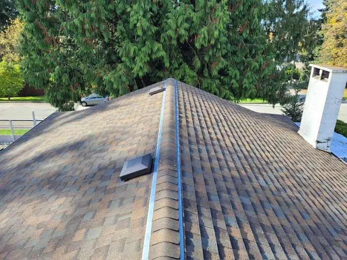 Best Quality Roofing Picture 8
