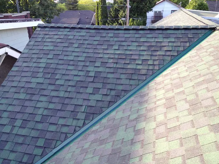 Busy Boys Roofing Ltd Picture 6