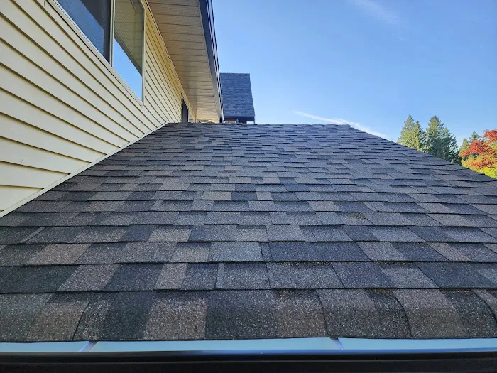 Paragon Roofing BC Picture 4