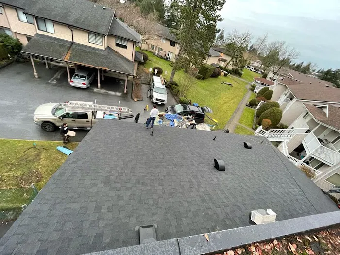 Paragon Roofing BC Picture 6