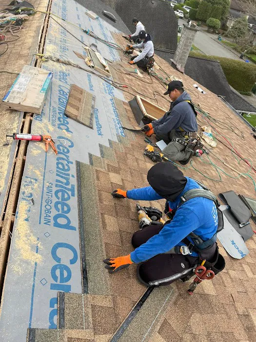Paragon Roofing BC Picture 5