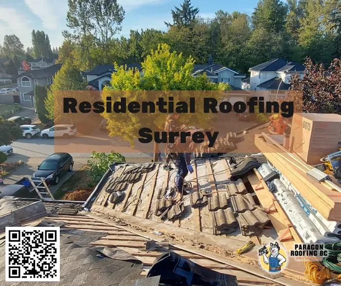 Paragon Roofing BC Picture 9