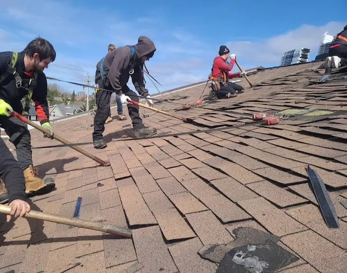 Roof Ninjas Picture 5