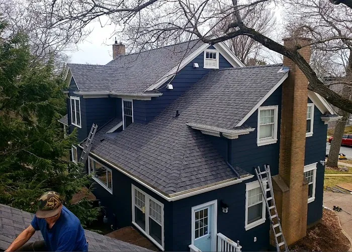Roof Ninjas Picture 7