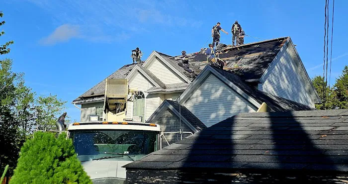 Roof Ninjas Picture 1