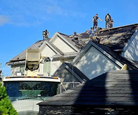 Roof Ninjas