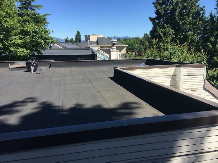 Helios Roofing and Waterproofing Ltd. Picture 5