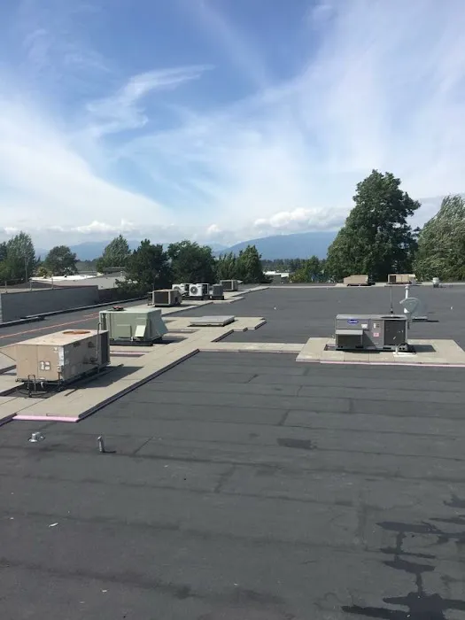 Whonnock Roofing Ltd Burnaby Picture 4