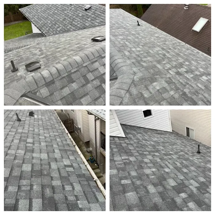 Whonnock Roofing Ltd Burnaby Picture 10