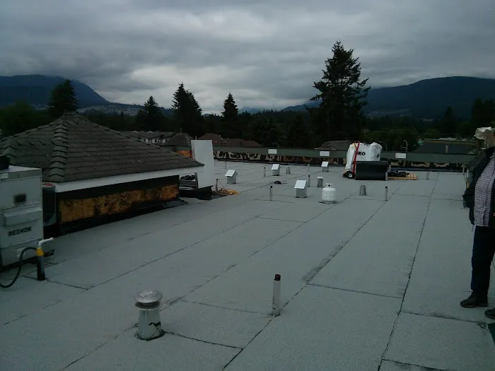 Apis Roofing Ltd Picture 1