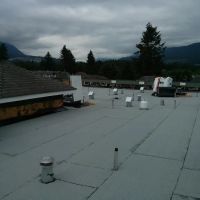 Apis Roofing Ltd ico