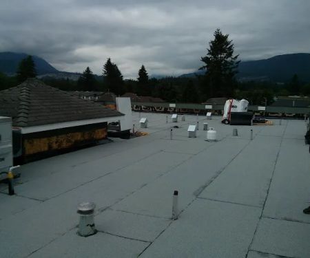 Apis Roofing Ltd